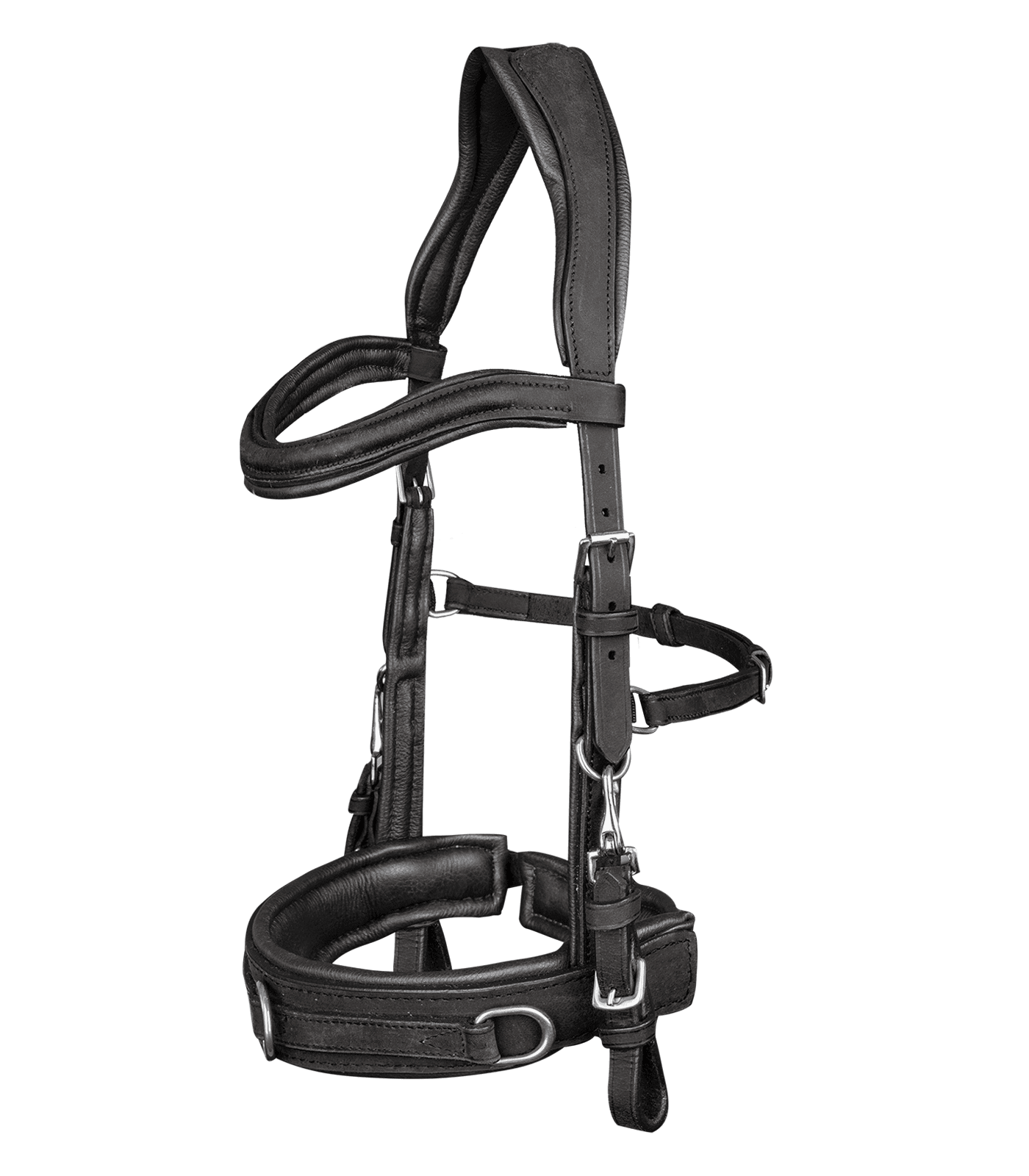 Lederkappzaum Anatomic