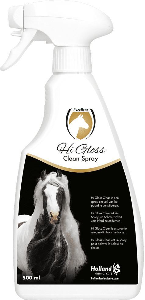 Hi Gloss Clean Spray 500ml