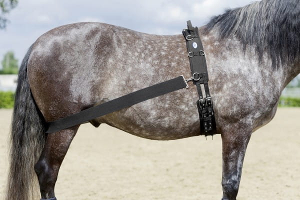 LEHMANN Trainingssystem