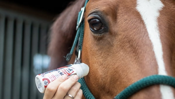 POWER Phaser Roll On 75 ml