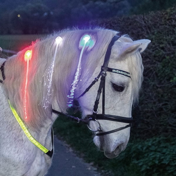 LED-Haar Clips für die Mähne