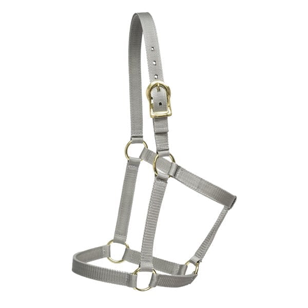 Mustang Economy Halfter Colorful