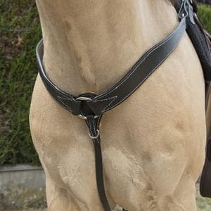 Vorderzeug Basic Büffelleder schwarz