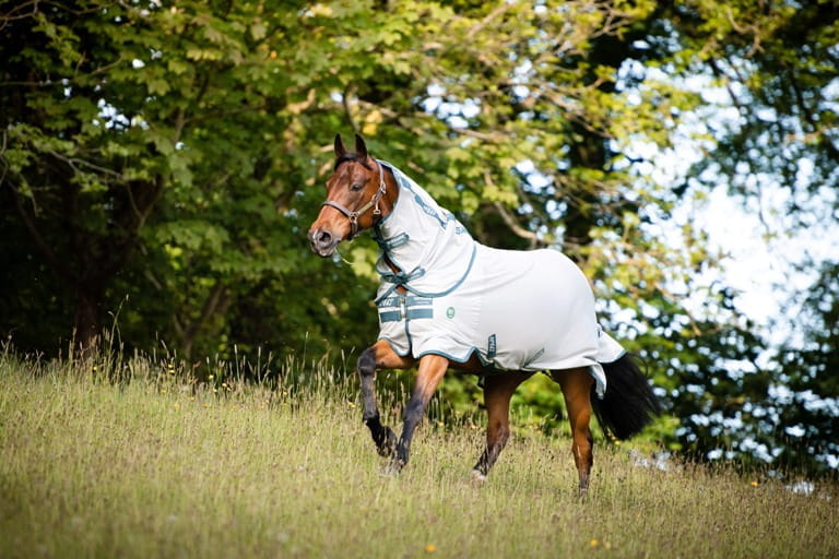 Horseware AmEco Bug Rug
