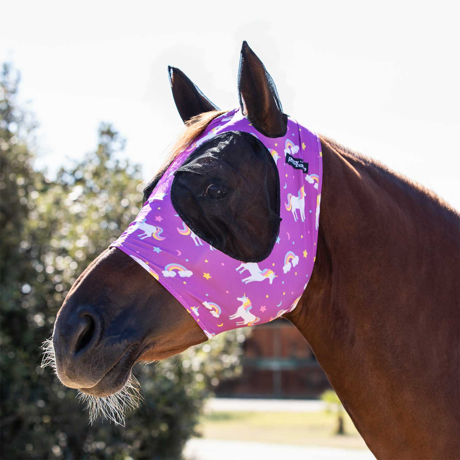 Pro-Tech Lycra Anti-Fly Mask with Ears Colorfull