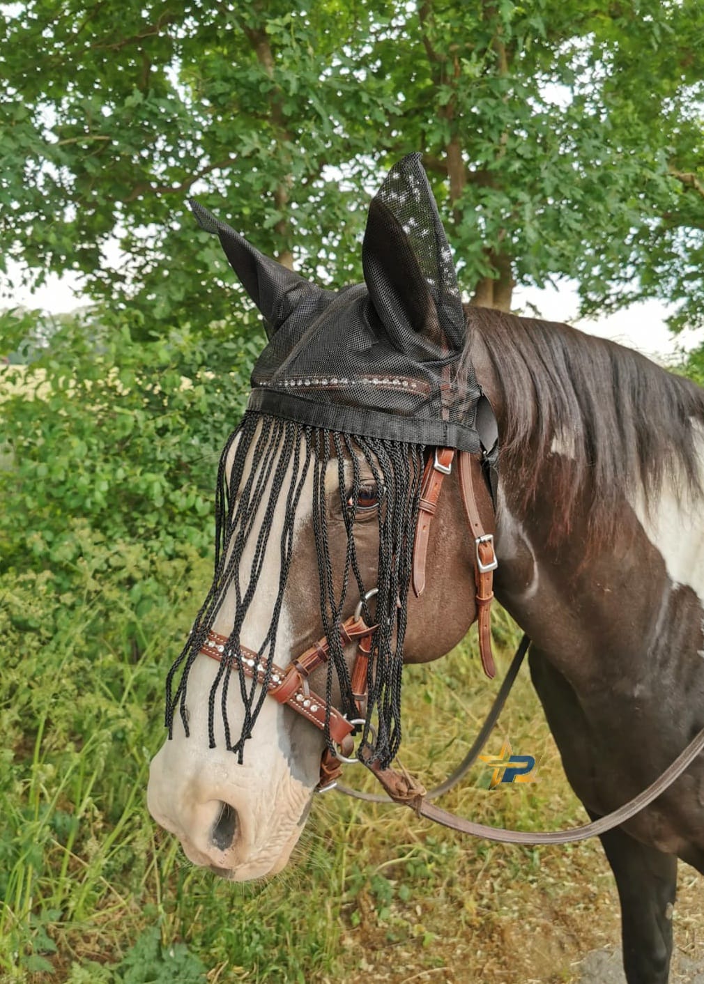 Fransenstirnband mit Ohren - Flyveil  Fliegenhaube