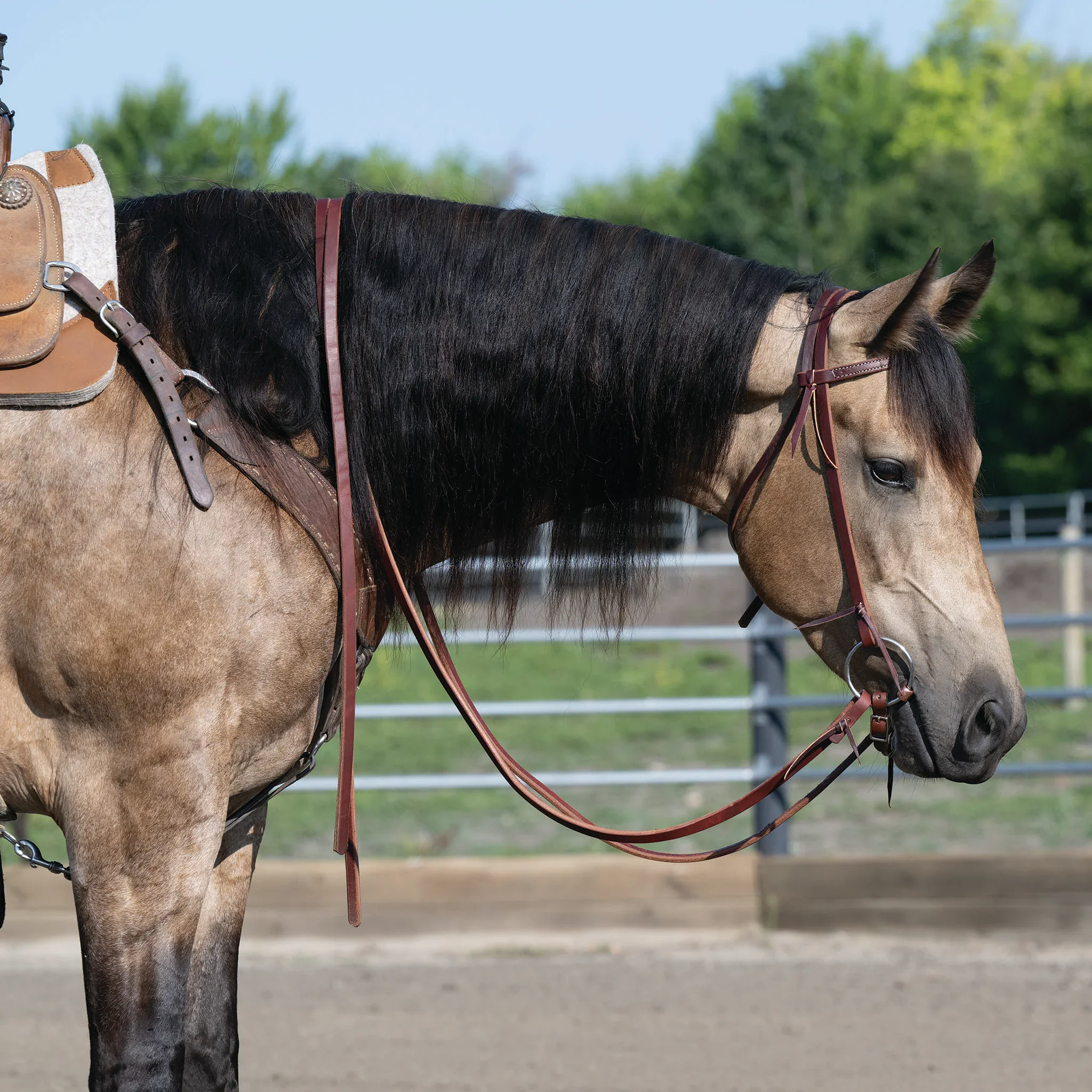 Weaver 1/2" Oiled Extra Heavy Harness Split Reins 8'
