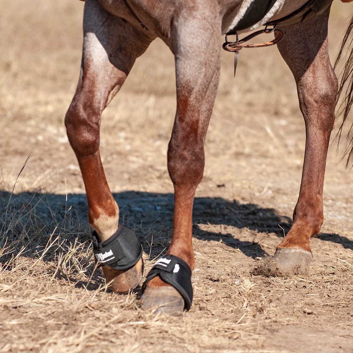 Cashel No Turn Bell Boots black