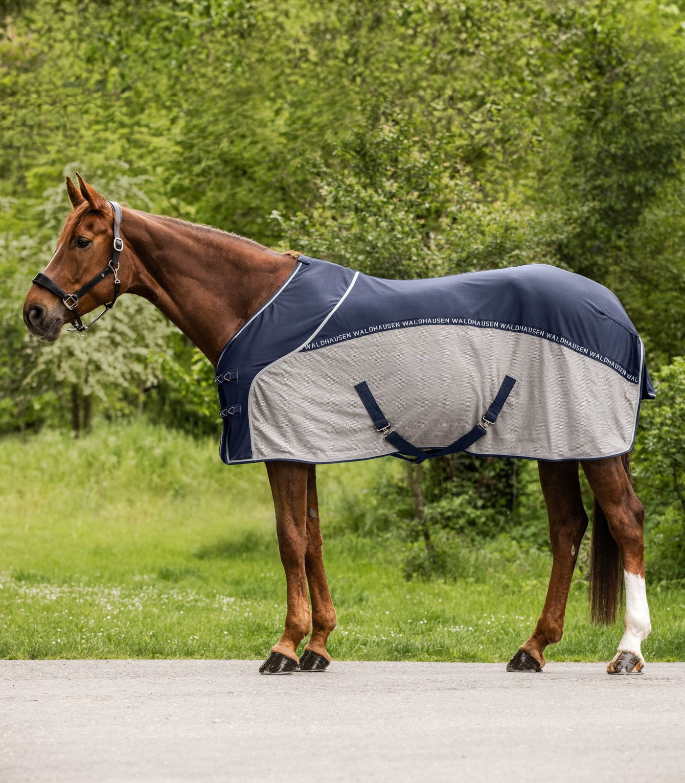 Cooler Fliegen-Sommerdecke