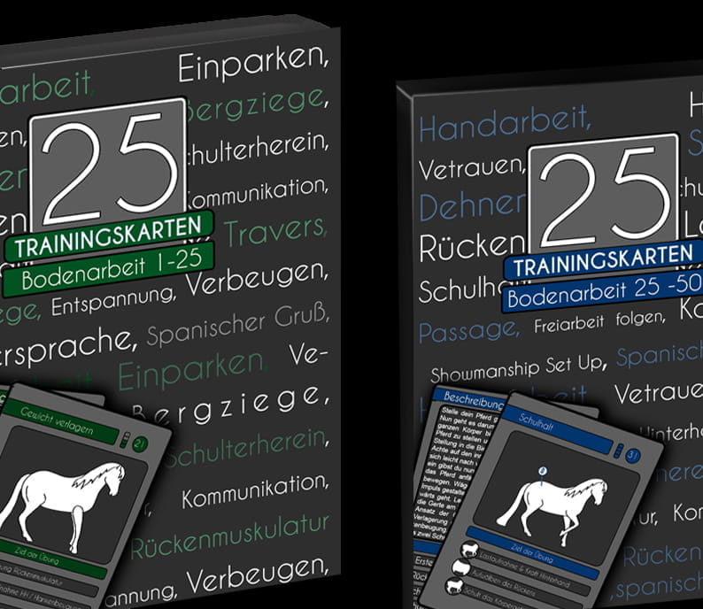 25 Trainingskarten Set Bodenarbeit