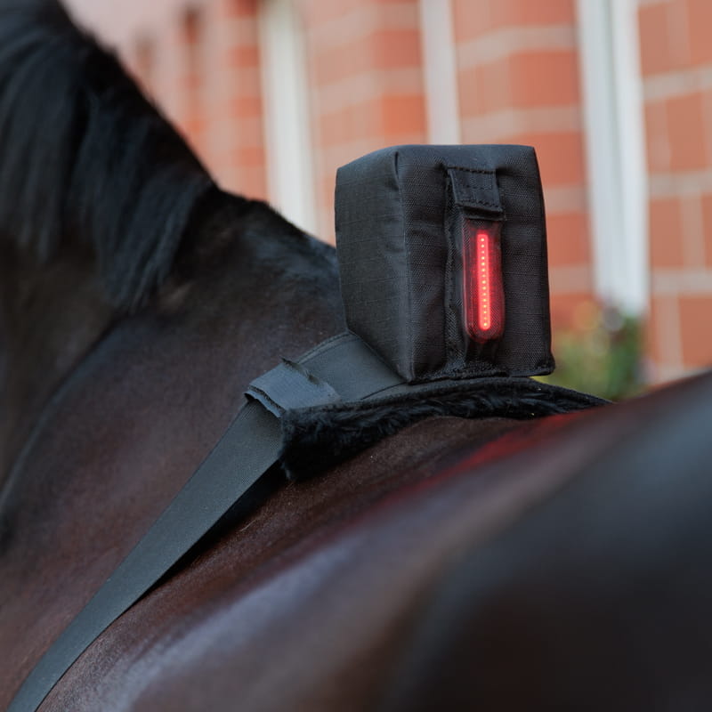 Bauchgurt Horselight - rote Leuchte
