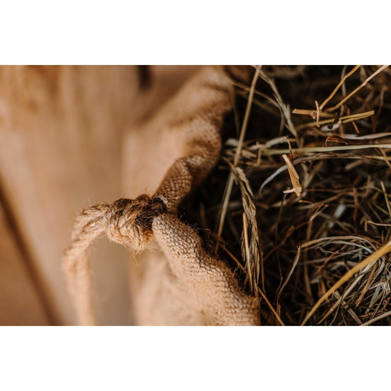 HIPPOTONIC - Naturel - Heusack