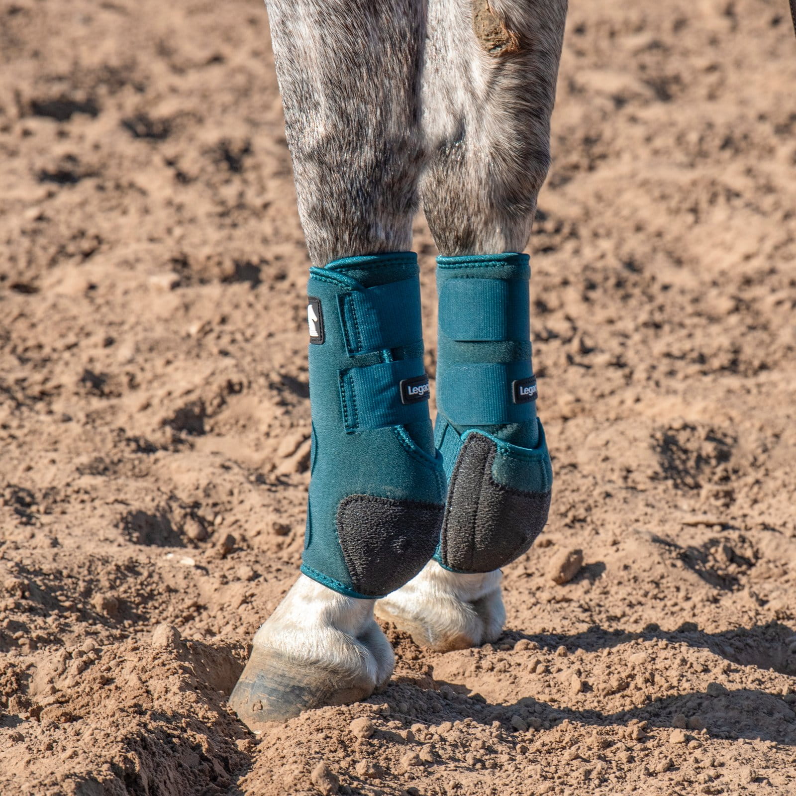 Classic Equine Legacy2 Support Boots Front dragonfly