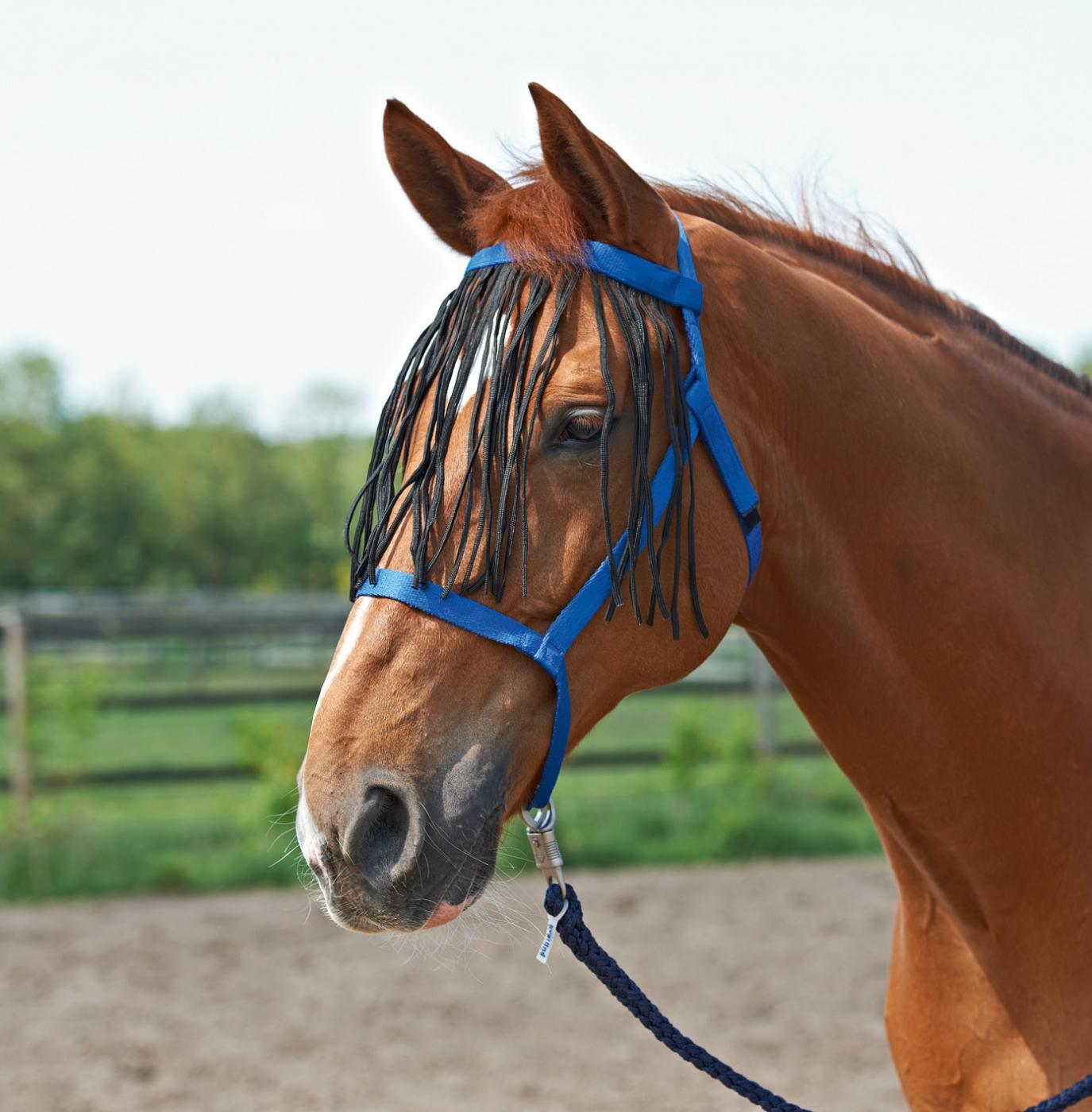 Weidehalfter mit Fransen ohne Metall mit Klettverschluss- sehr sicher