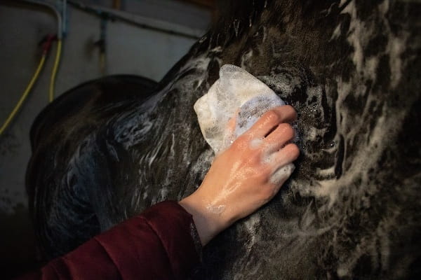 Hi Gloss Horse Shampoo-Bar verschiedene Sorten 60g