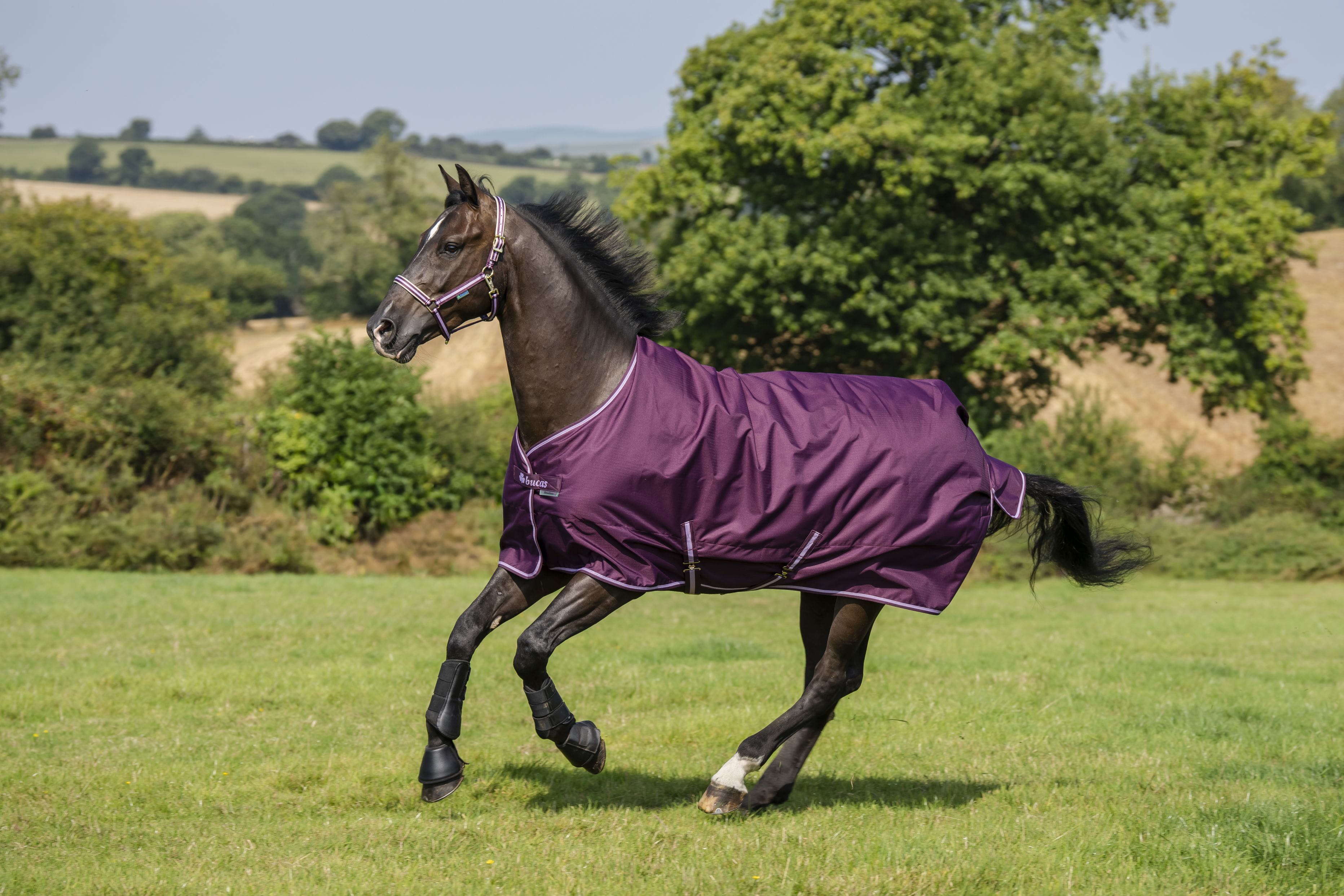 Bucas Freedom Turnout 50G 2026