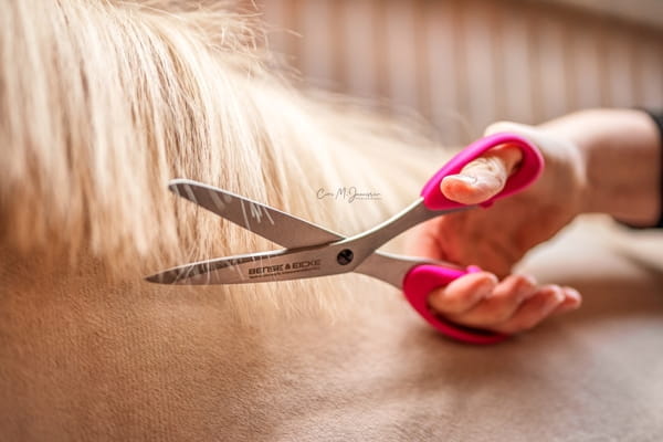 Bense & Eicke Schweifschere "SchnittBerta"