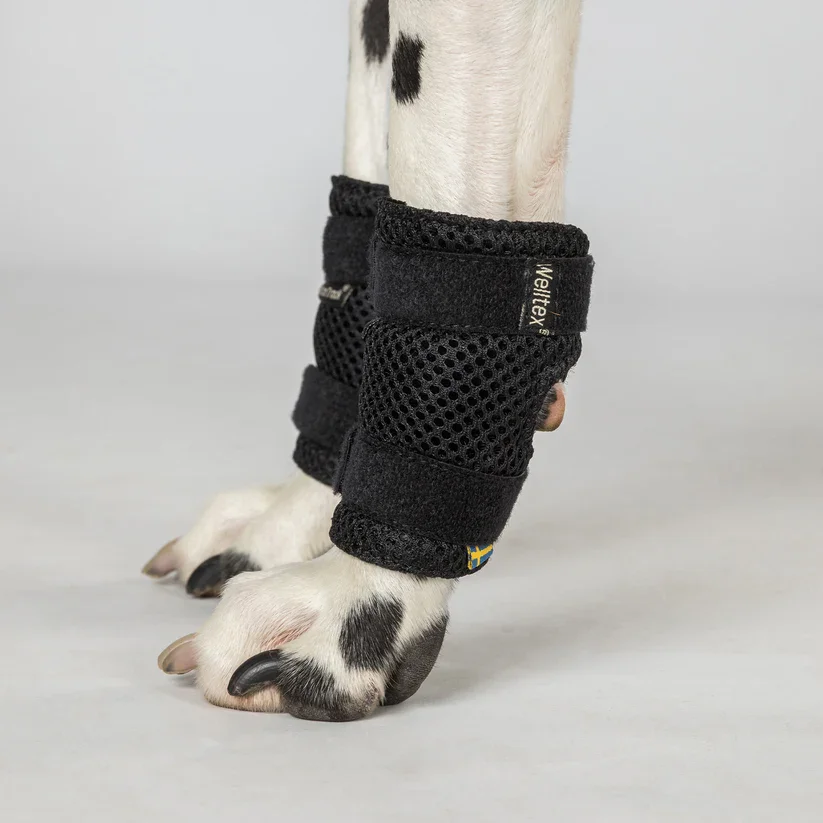 Back on Track Dog Leg Brace Milo - Pair