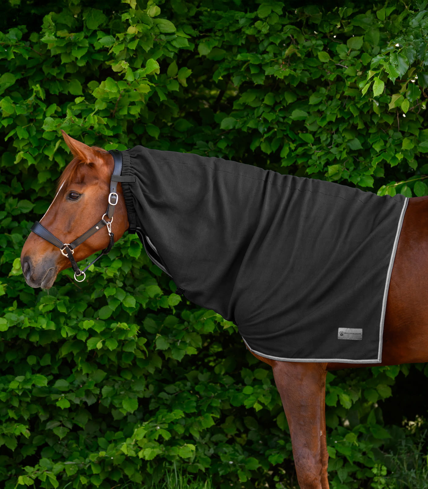 ECONOMIC Fleece-Halsteil