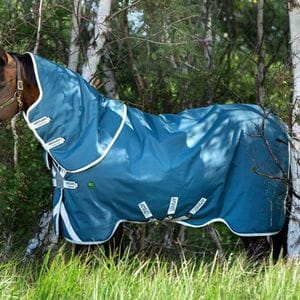 AmECO Amigo12 Plus Turnout medium 100G