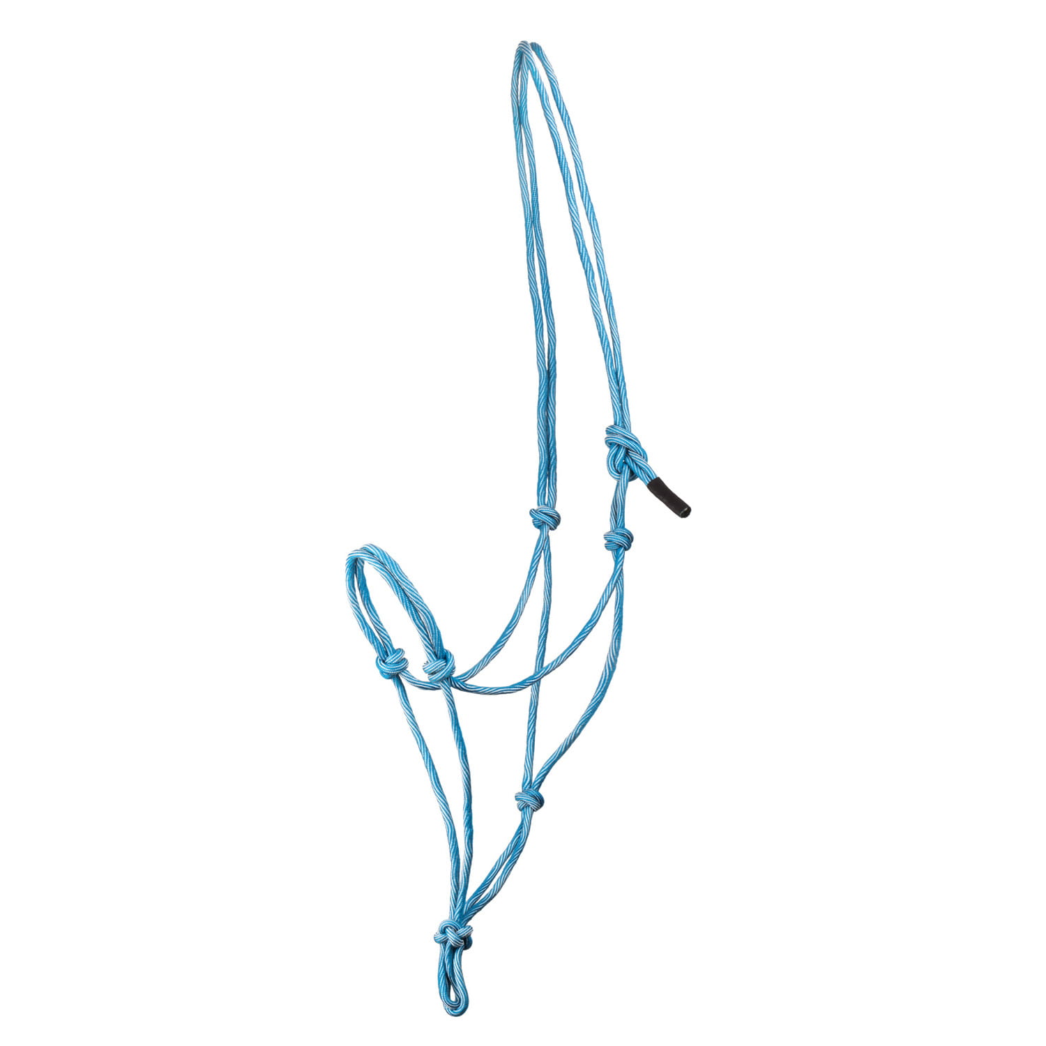 Pool’s Waves Design Knotenhalfter