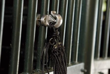 Spezialhalter -vielseitig einsetzbar- auch an Boxenstangen