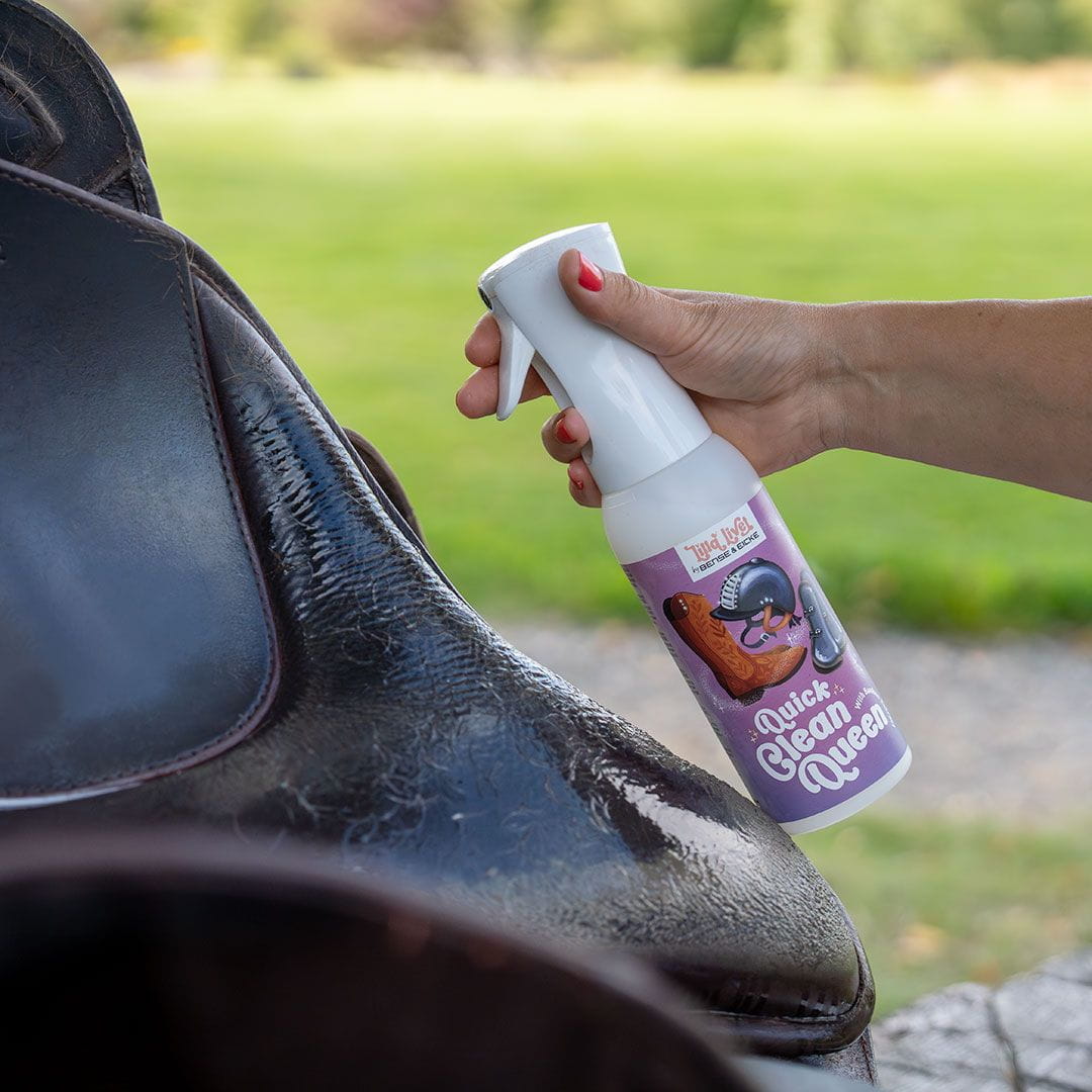 Lilla Livet Quick Clean Queen 500ml