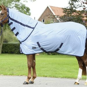 Busse Paddock Fliegendecke Sunshine II skyblue