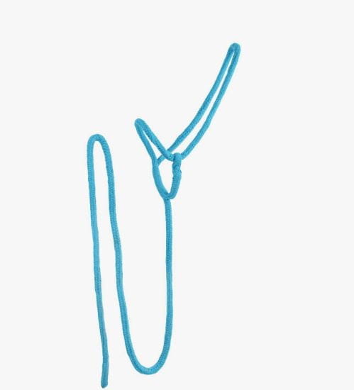 Lead Rope Halfter Rainbow