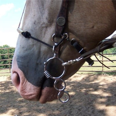 Myler Nasenriemen-Set Leder