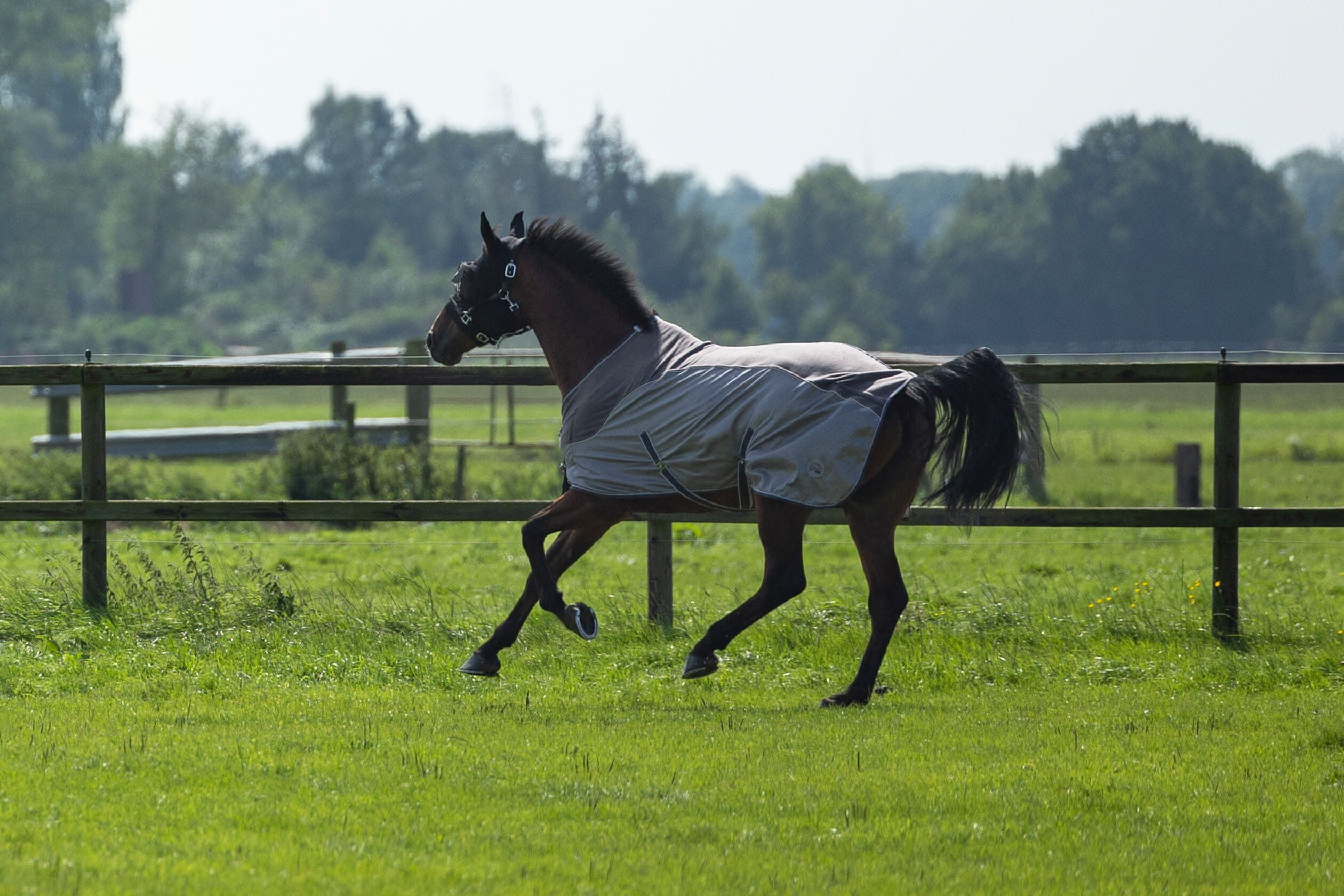 Fliegendecke Comfort mit Fleece