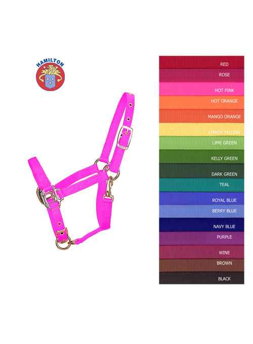 Excellent horse superior halter xs mini poulain rouge Excellent horse superior halter xs mini poulain rouge