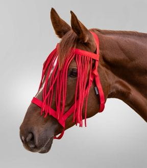 Weidehalfter & Fressbremsen