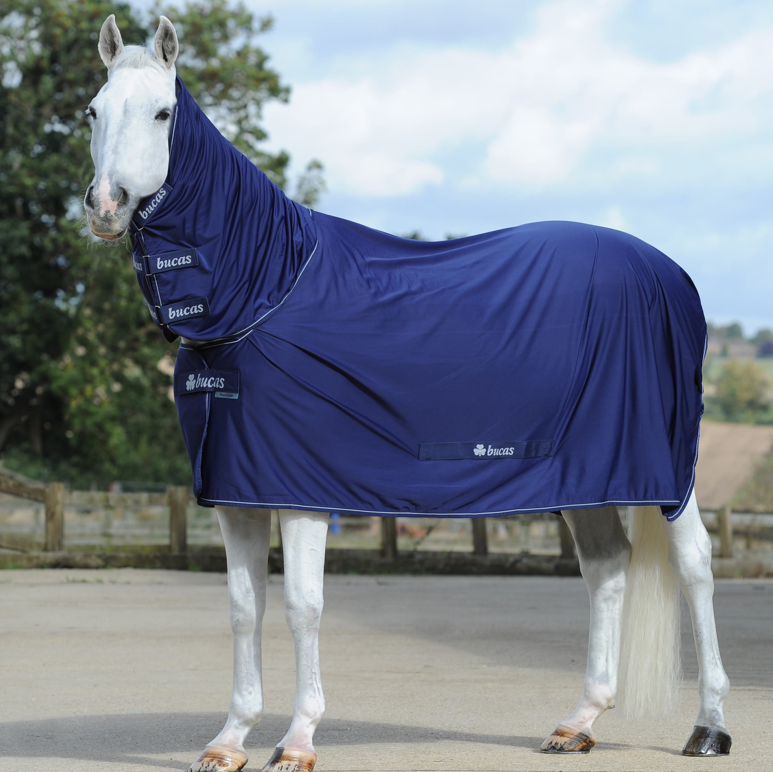 Bucas Power Cooler Full Neck navy