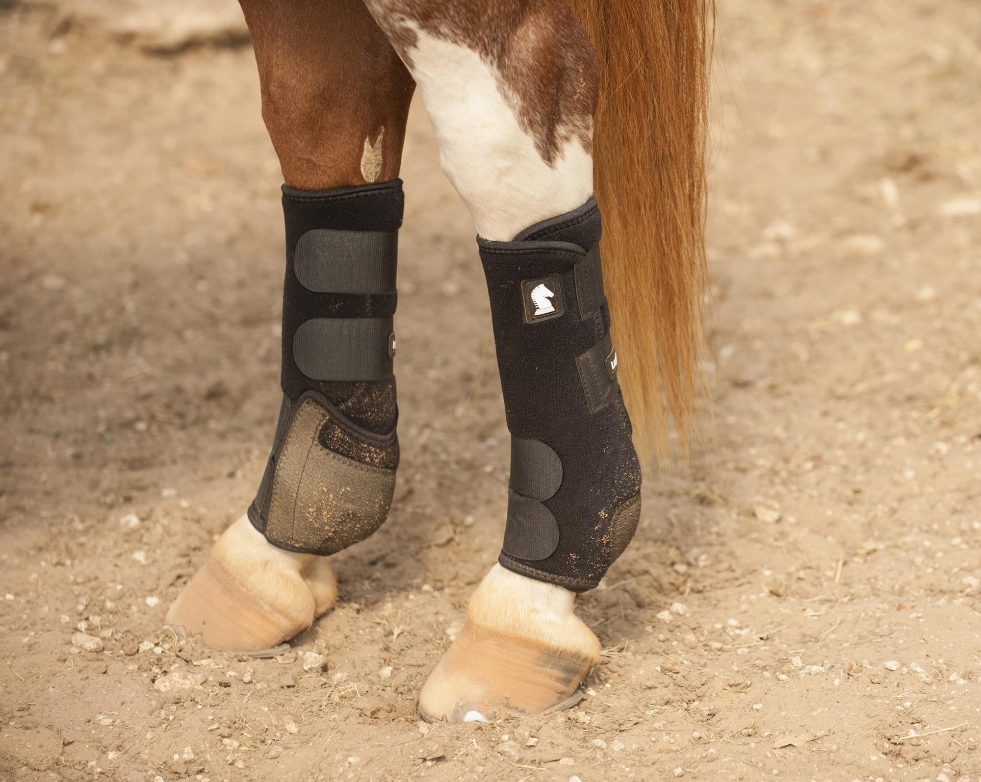 Classic Equine Legacy2 Support Boots Hind