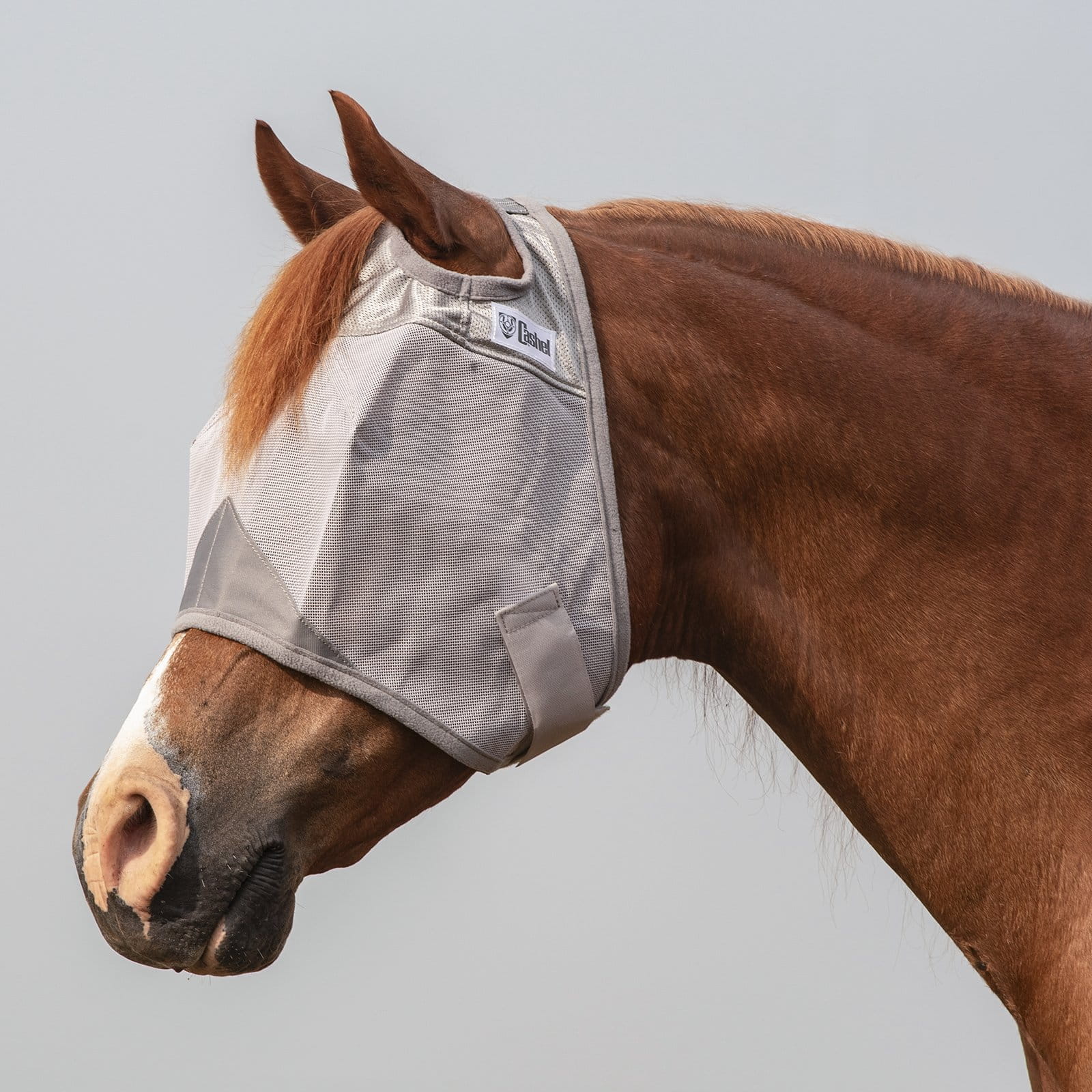 Crusader Fly Mask Cashel UV-Schutz Fliegenmaske
