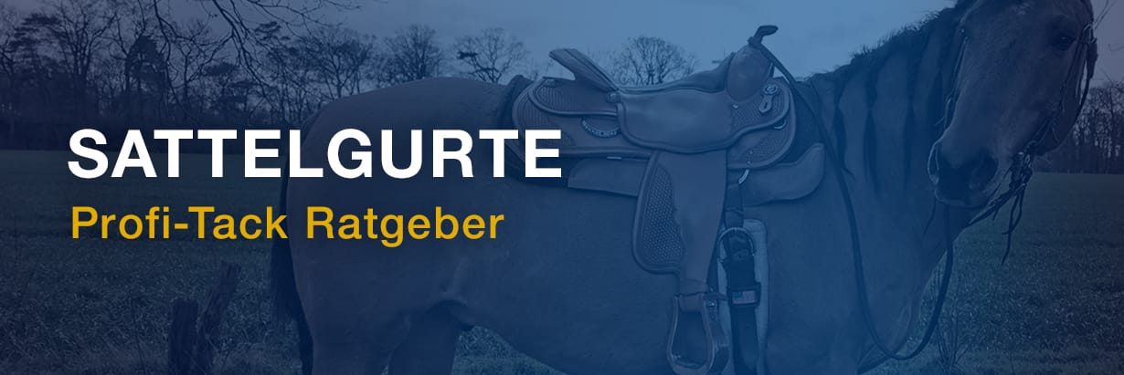 Ratgeber für den richtigen Westernsattelgurt