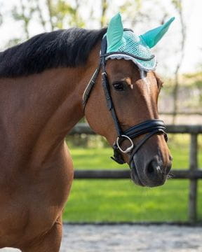 Fliegenfransen & Fliegenhauben