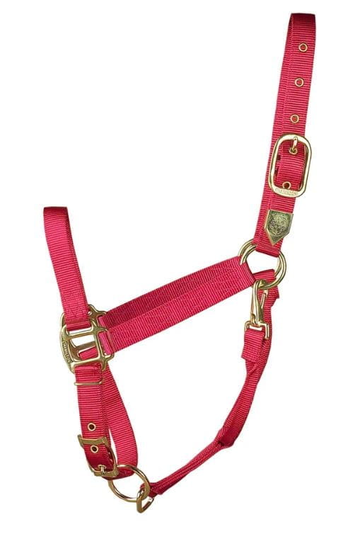 Hamilton Halfter Quality - Breite 2,5 cm