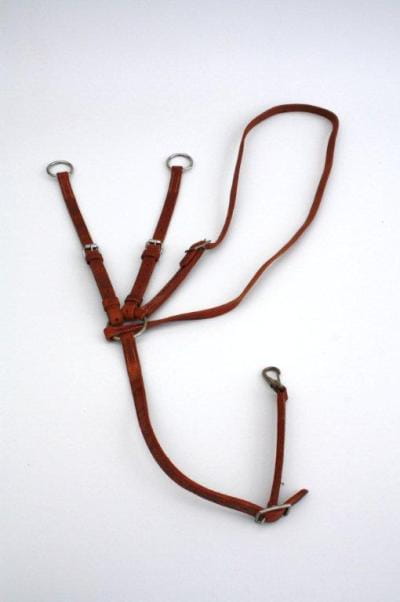 Running Martingal Harness