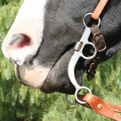 Professional's Choice Bob Avila Collection Correction Bit