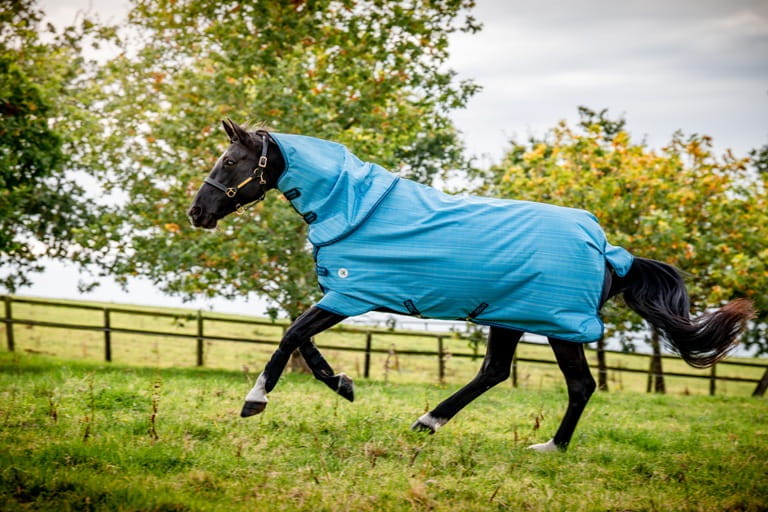 Horseware Amigo Hero 900 Revive Plus 50G