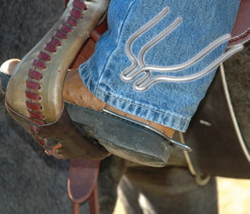 Cashel Comfort Spurs