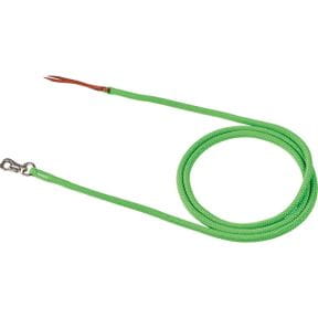 Bodenarbeit & Longieren