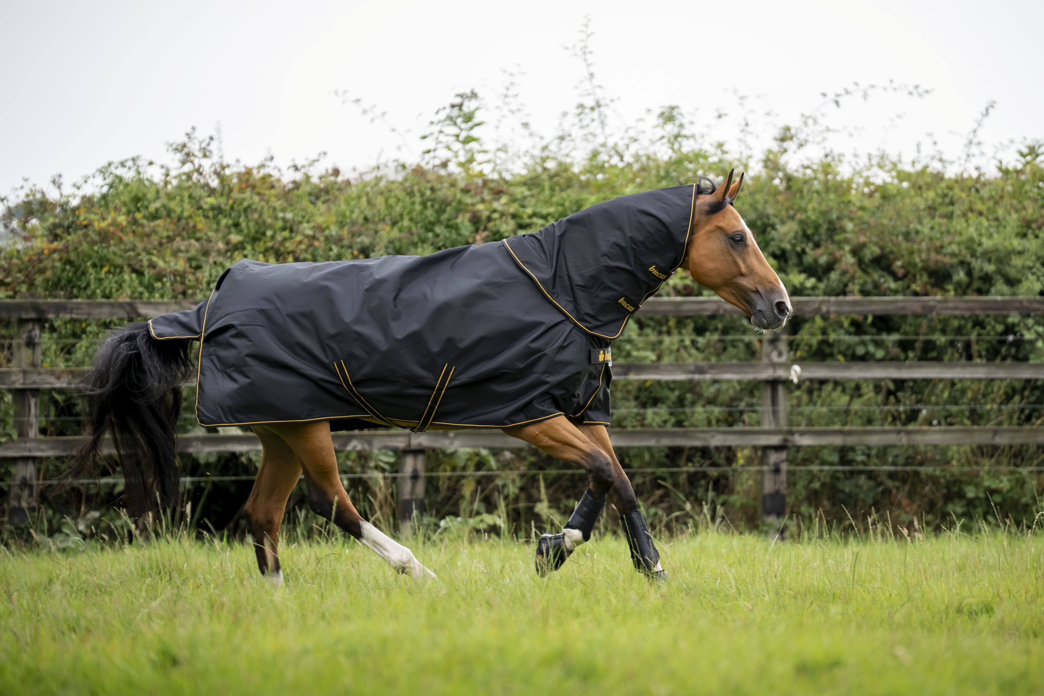 Bucas Irish Turnout 150G + Halsteil black/gold