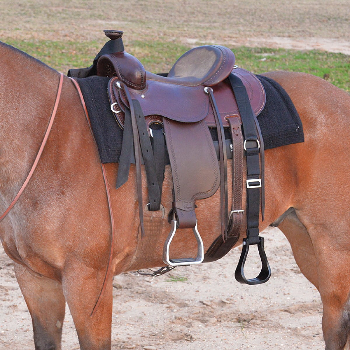 Cashel Step Up Stirrup - Aufstiegshilfe