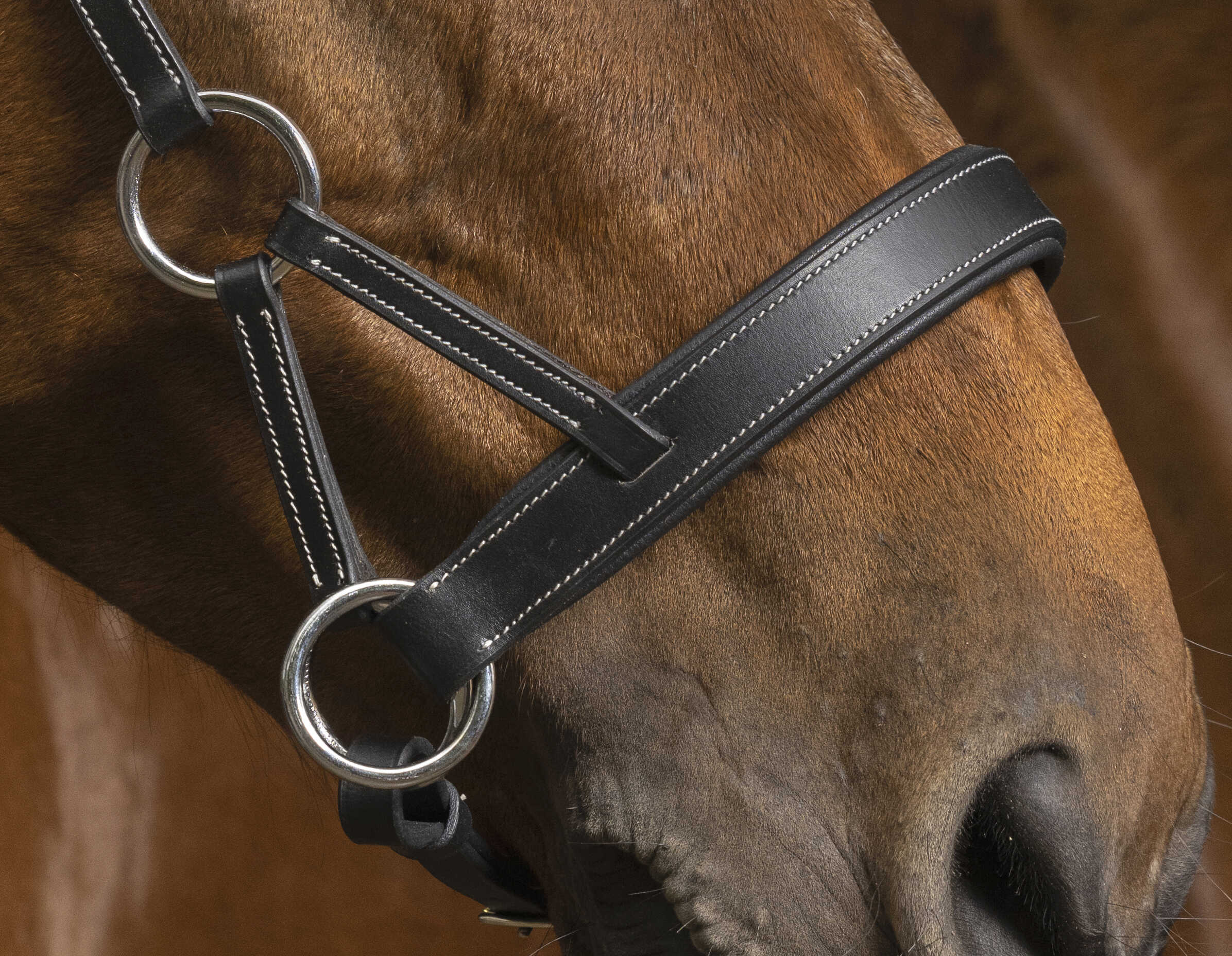 NORTON Pro Komfort - Sidepull