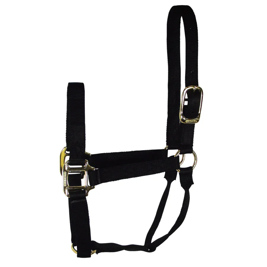 Hamilton Halfter Basic - Breite 2,5 cm