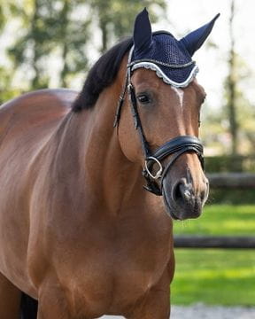 Fliegenfransen & Fliegenhauben