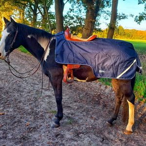 Ausreitdecke Raintrainer navy 100g